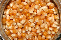 granos de maiz para hacer palomitas 1